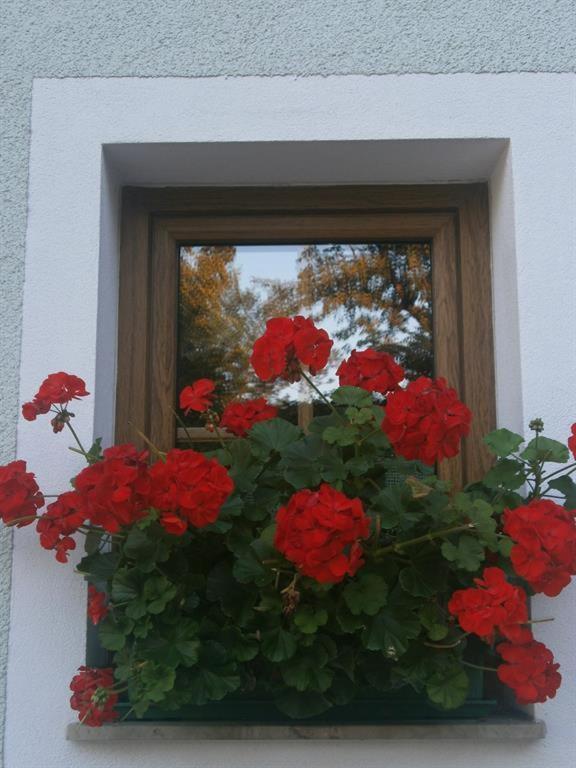 Ferienwohnung Schober Windischgarsten Exterior foto